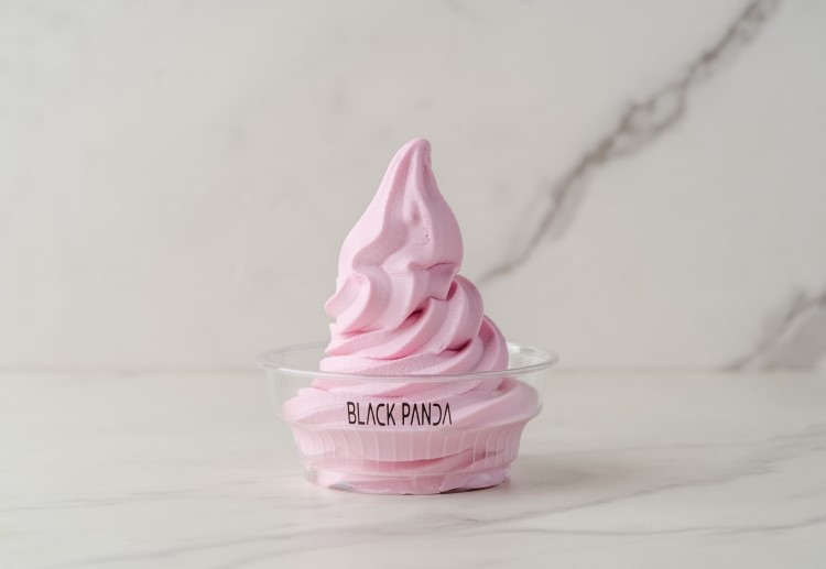 Blackberry Frozen Yogurt